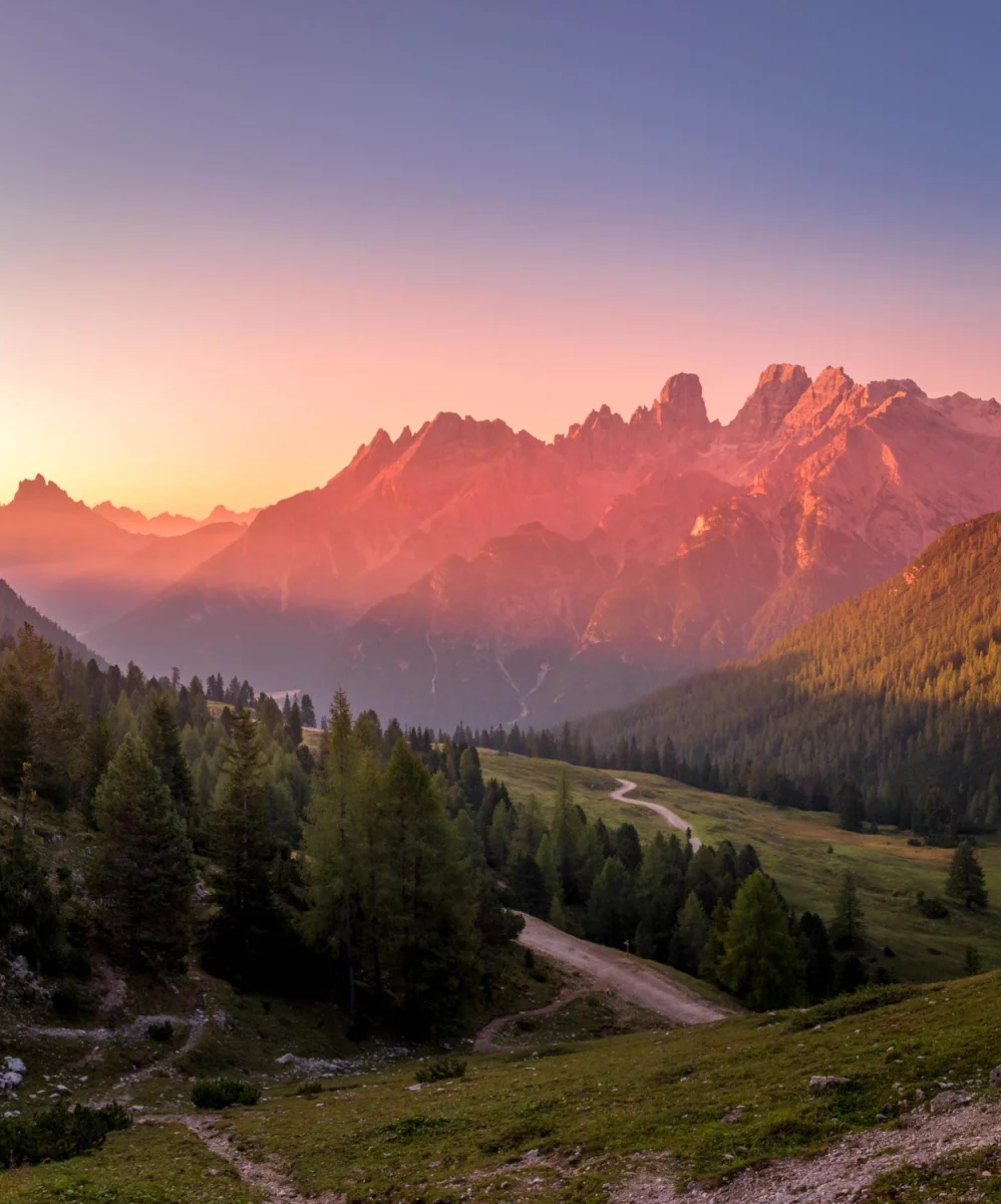 Szokujące 9 Metod Aby chronić środowisko