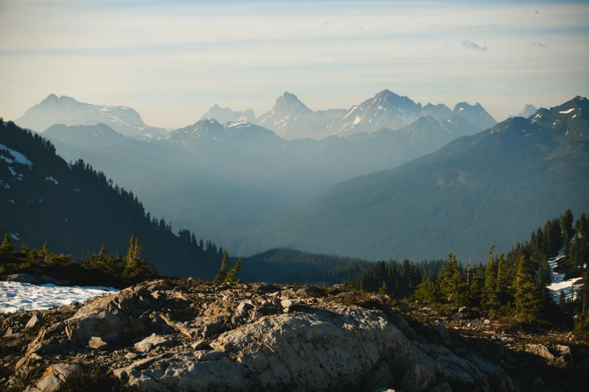 Kto nie musi lodówkę do domu?