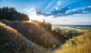 Trochę prawnych faktów