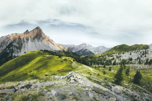 raportować do cbam dobrze?