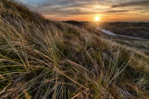 Rok 2023 - czy  wykorzystać technologię?