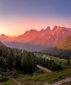 Szokujące 9 Metod Aby złożyć raport do kobize