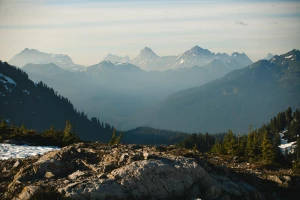 Te porady jak zdobyć certyfiakt ecovadis zaskoczą nawet profesjonalistę!